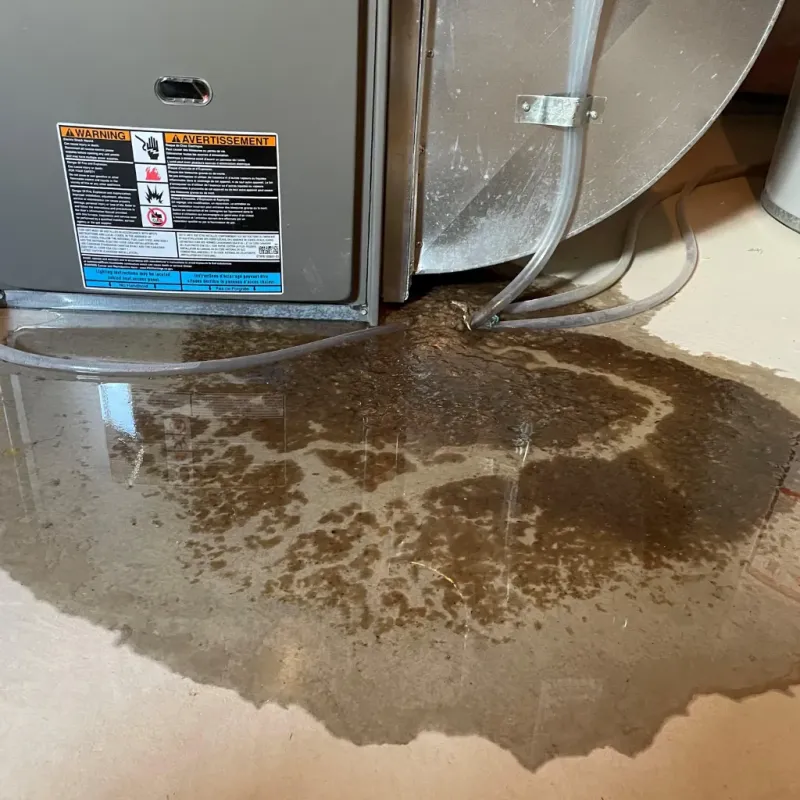 Appliance Leak Cleanup in Tustin, CA