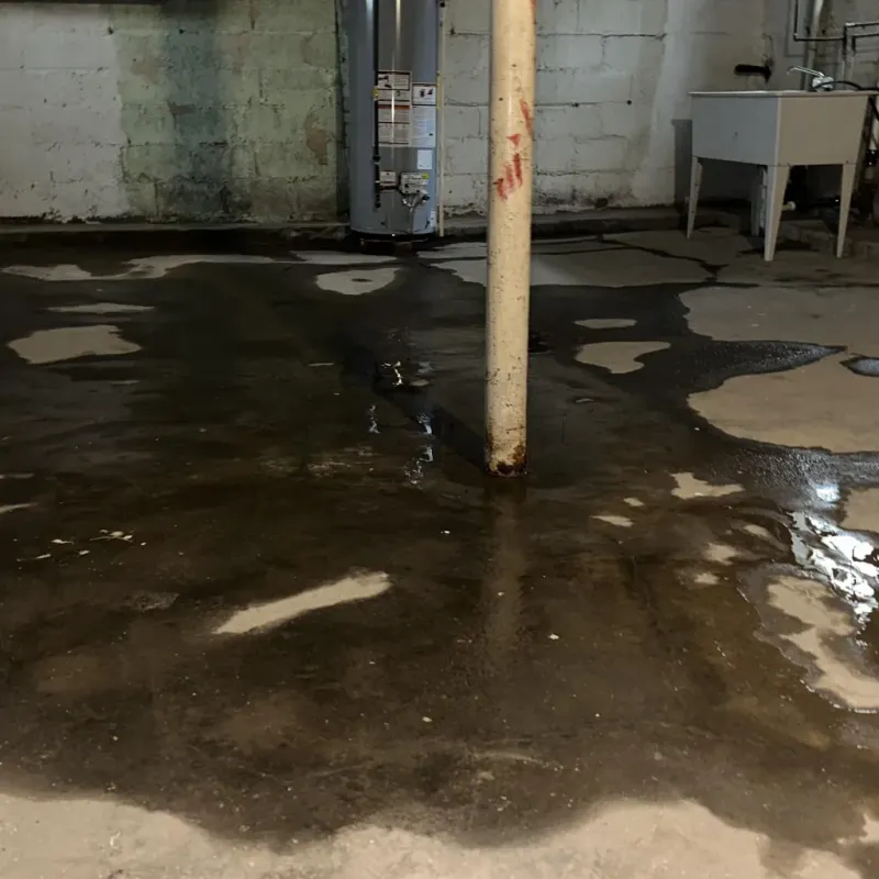 Emergency Water Extraction And Removal in Tustin, CA